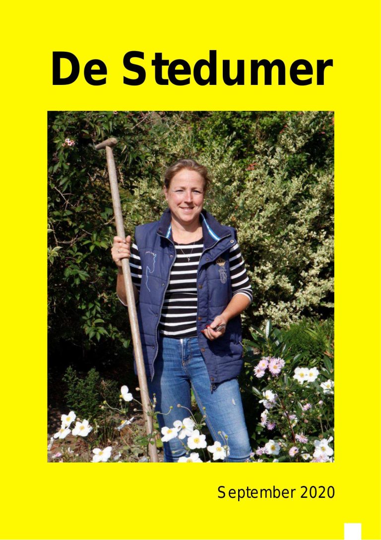 Stedumer september 2020