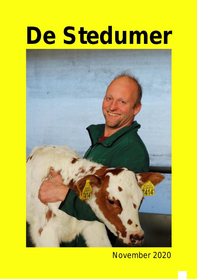 Stedumer november 2020