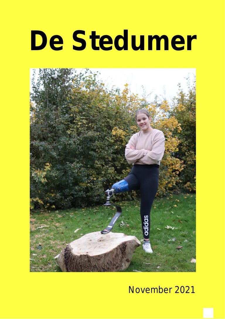 De Stedumer november 2021