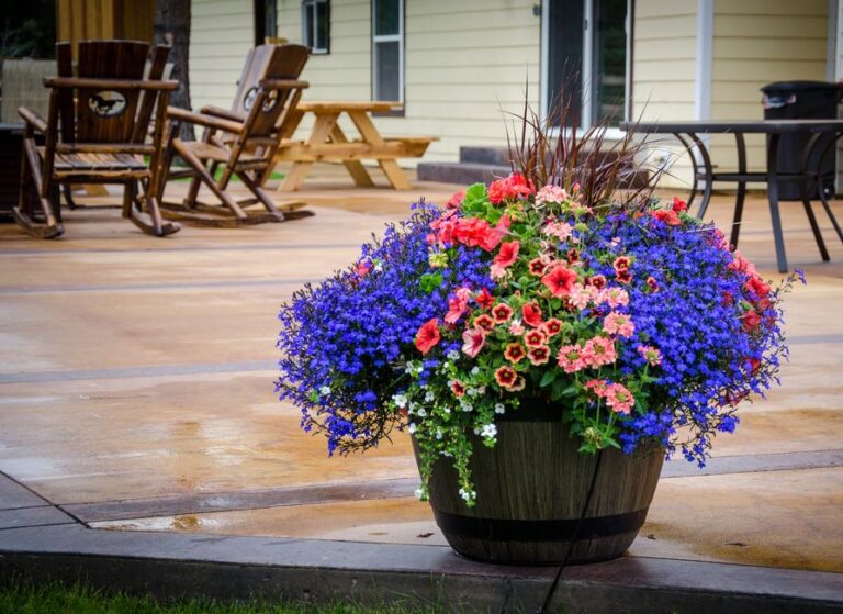🌱 Tuintip: Zet een regenton neer